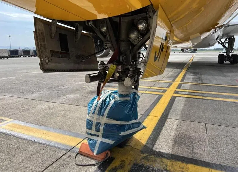 工作人员检查后，将鼻轮整个包裹起来，等待进一步处理。（联合新闻网提供）