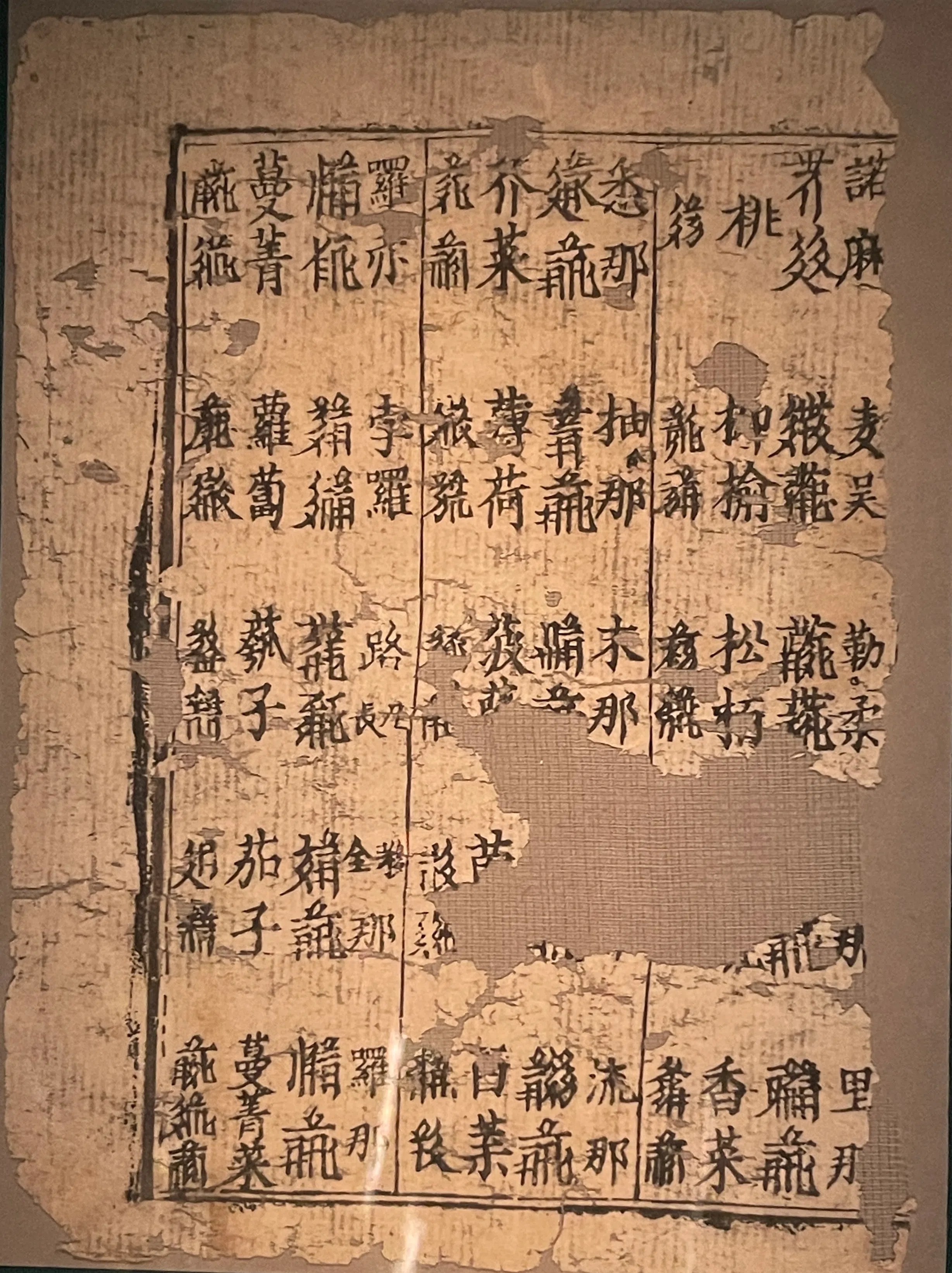 《番汉合时掌中珠》即西夏时期双语字典，读者不妨试着用西夏文来念念我们熟悉的果菜名称。（陈渊庄摄）