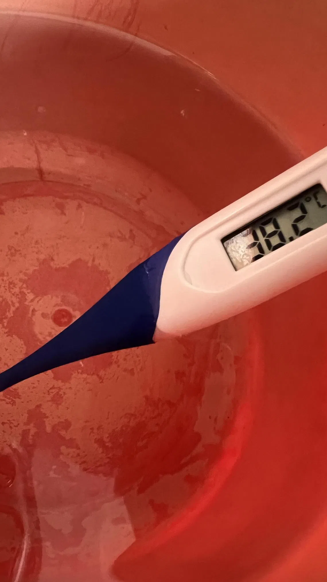 组屋顶层九楼的自来水温度超过38度。（张曦予摄）