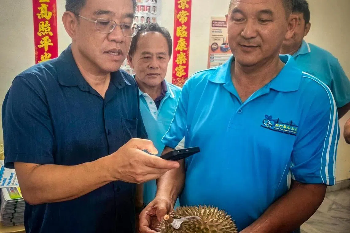 槟州旅游及创意经济事务行政议员黄汉伟（左）示范如何扫描附在榴梿上的二维码，查看榴梿产地等信息。（取自黄汉伟脸书）
