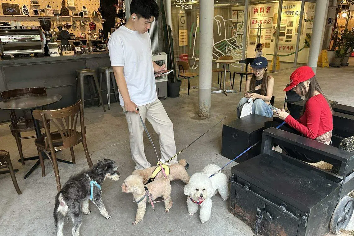 《中国宠物行业白皮书》显示，90后和00后年轻宠主已成为中国的养宠消费主力军。图为深圳青年在“一个公园”聚集的同时，也让宠物进行社交。（林煇智摄）