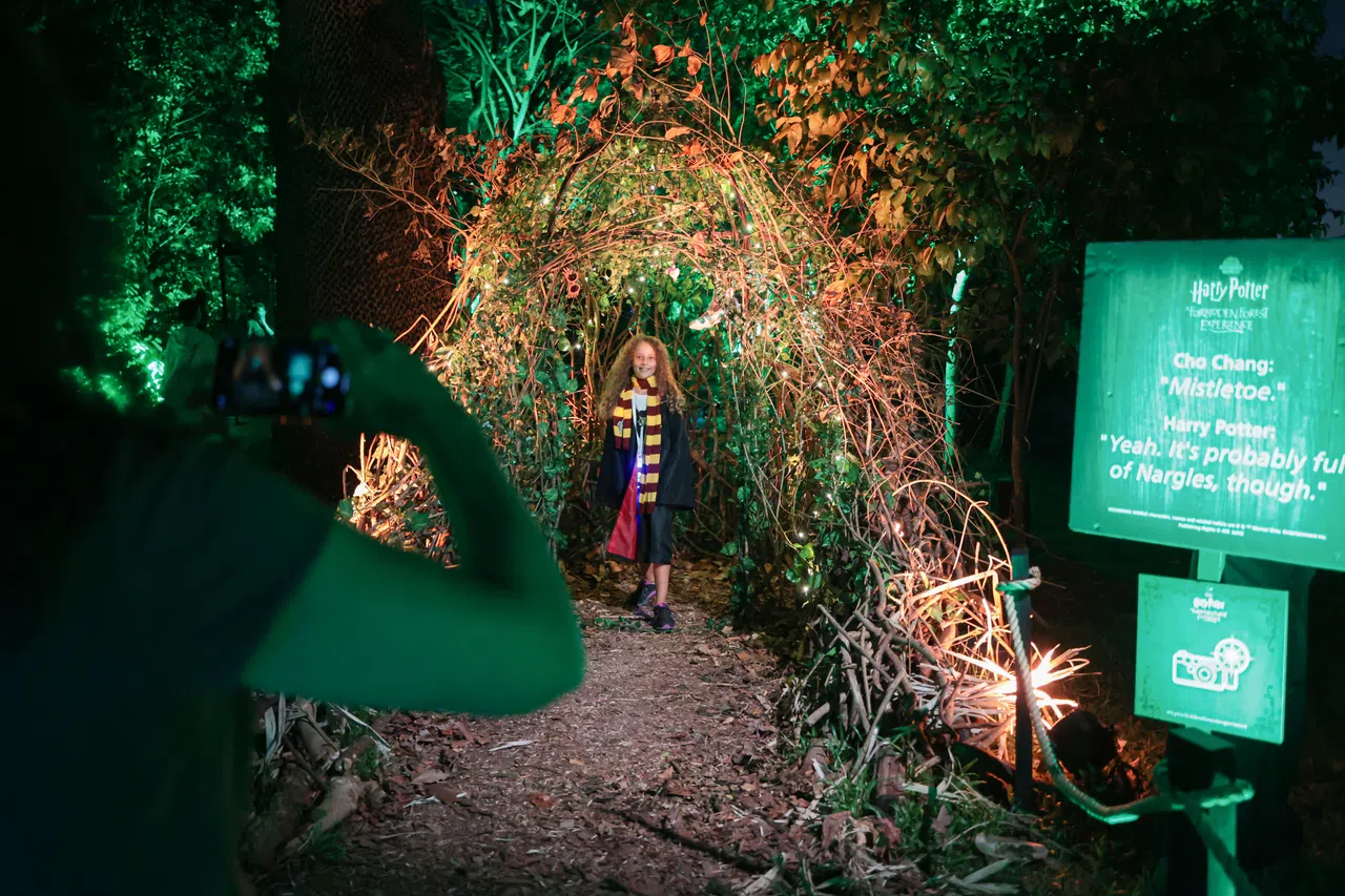 槲寄生是《哈利波特》中最具浪漫色彩的魔法植物。（李冠卫摄）