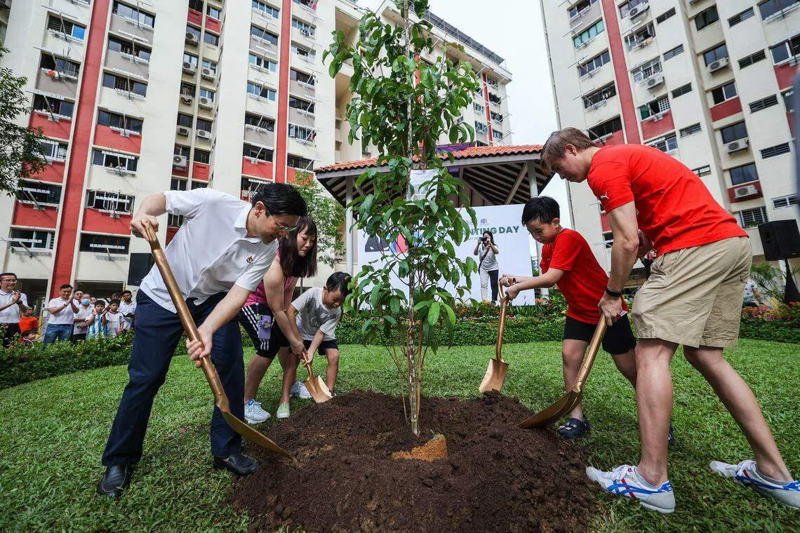 副总理兼财政部长黄循财（左一）与惹兰勿刹居民一起在圣乔治巷第6座组屋附近种下一棵黄牛木（Pink Mempat）树苗。（白艳琳摄）