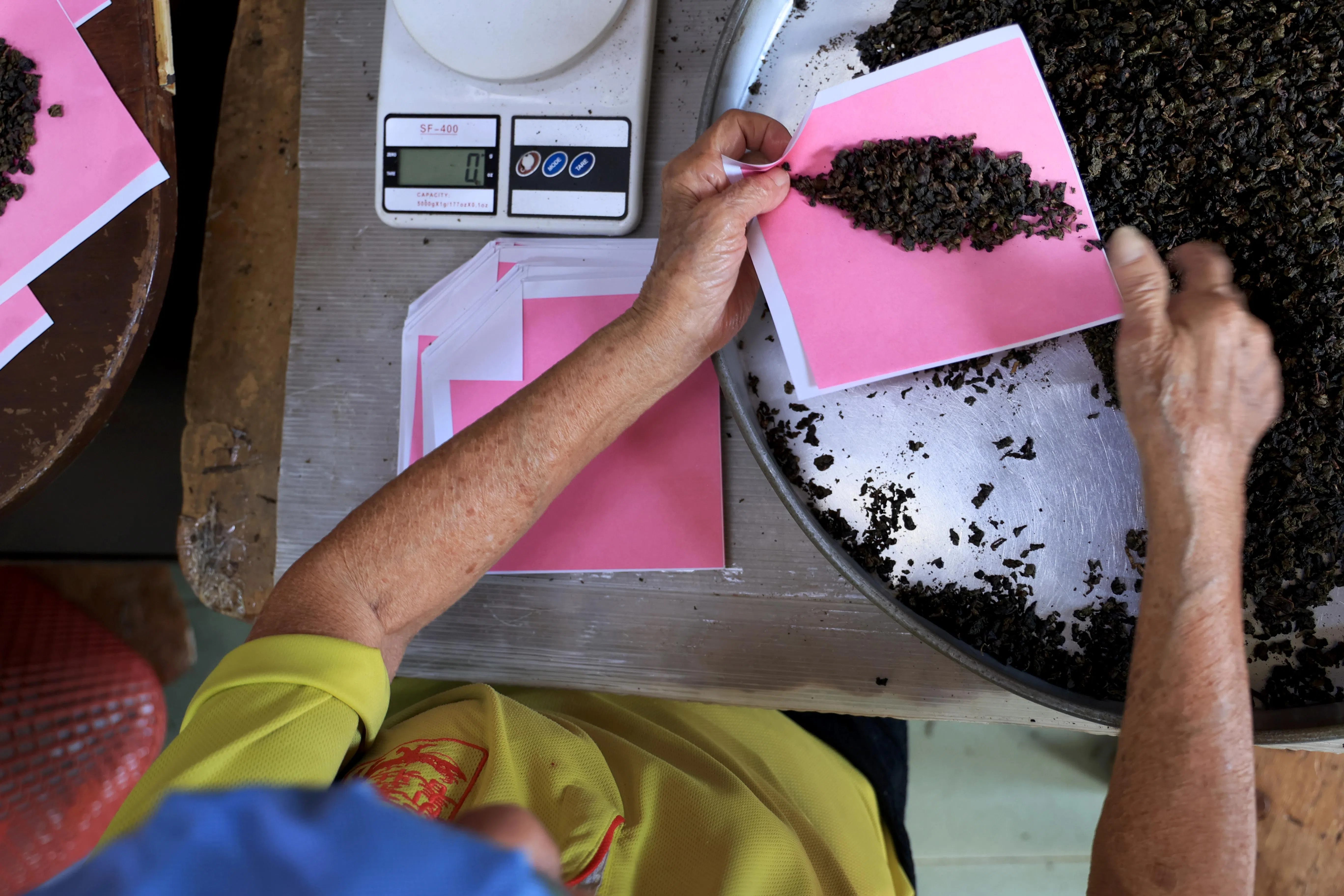 手工包茶叶是白新春茶庄的坚持，包茶叶的粉红色纸张，自二战后沿用至今。（龙国雄摄）
