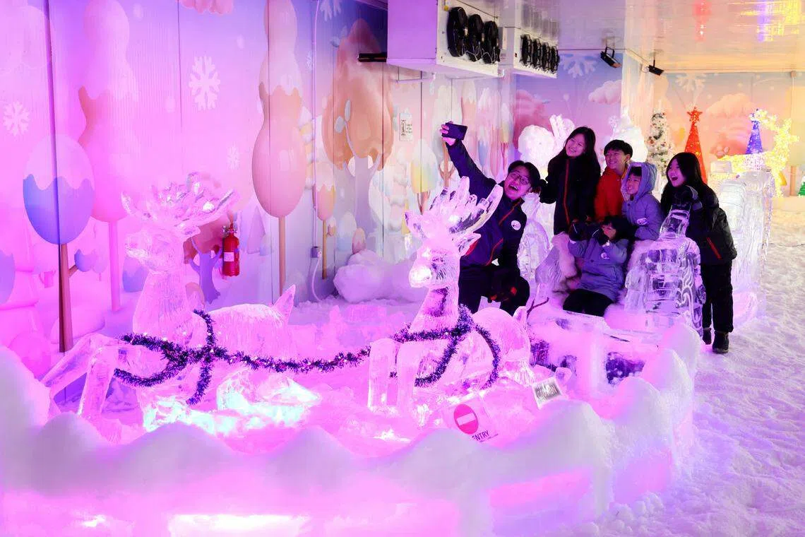 进入到零下10度的“糖果冰雪世界”里，民众可体验坐雪橇车，与驯鹿冰雕合影。（龙国雄摄）