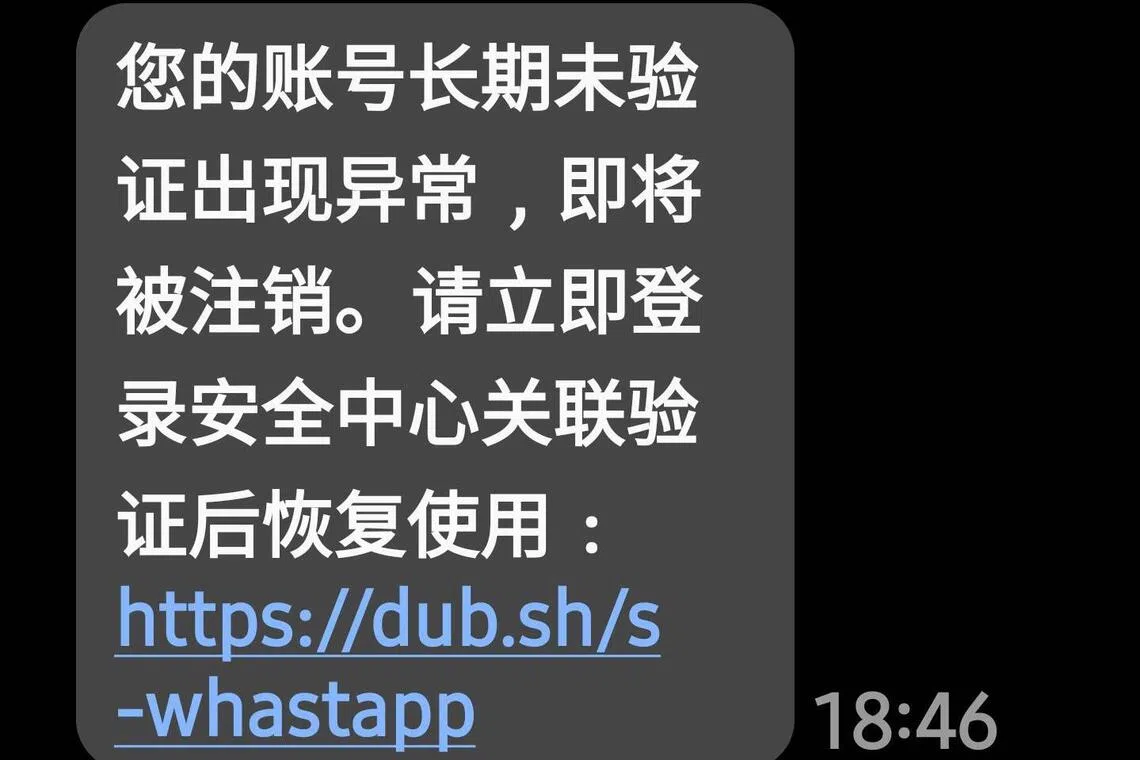 受害者点击假冒WhatsApp发送短信内的钓鱼链接，如果按要求输入手机号码和验证码，账号就会被骗子盗用。（读者提供）