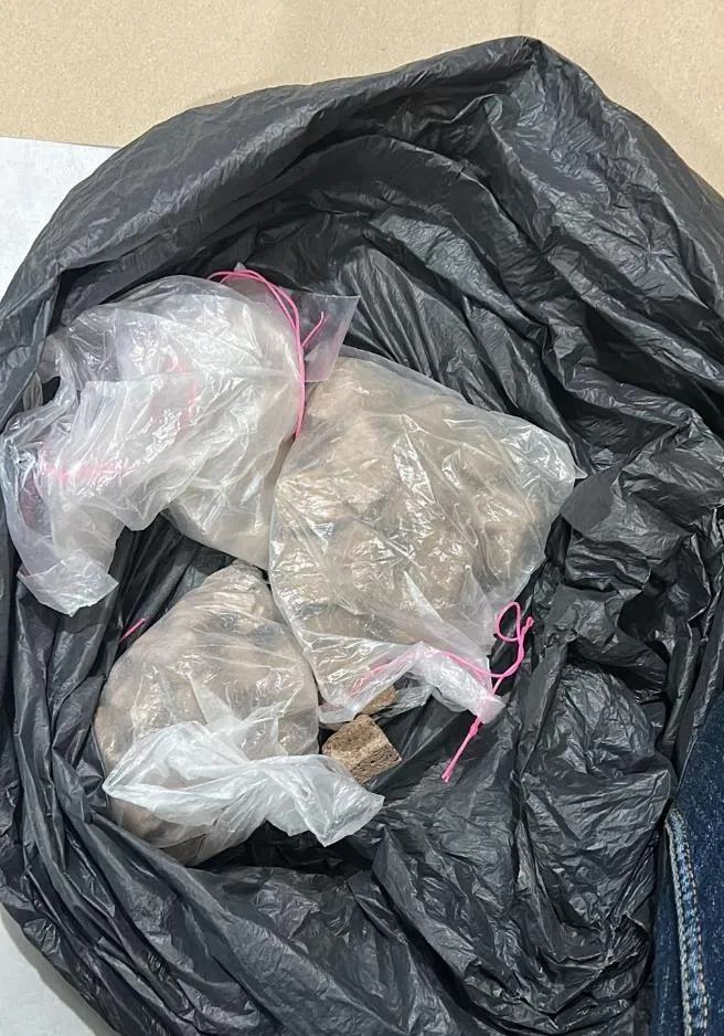 肃毒局起获海洛因和“冰毒”等管制药物。（中央肃毒局提供）
