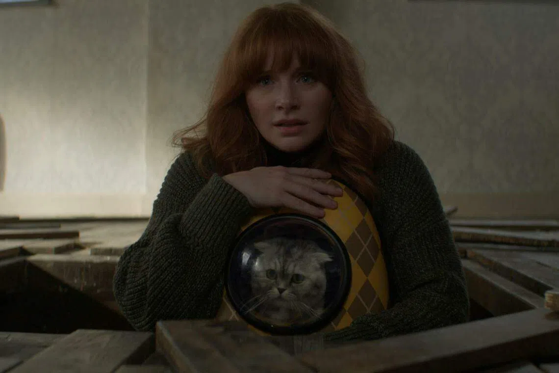 《机密特务: 阿盖尔》女主角的萌猫Alfie是抢镜王。（UIP提供）