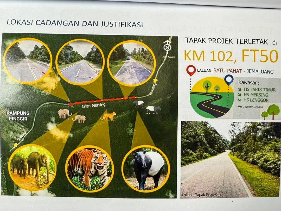 柔佛州加亨通往丰盛港的50号联邦公路两旁都是森林，经常有野生动物如马来亚虎、大象和马来貘出没，不时发生野生动物被撞的交通事故。（取自林添顺脸书）