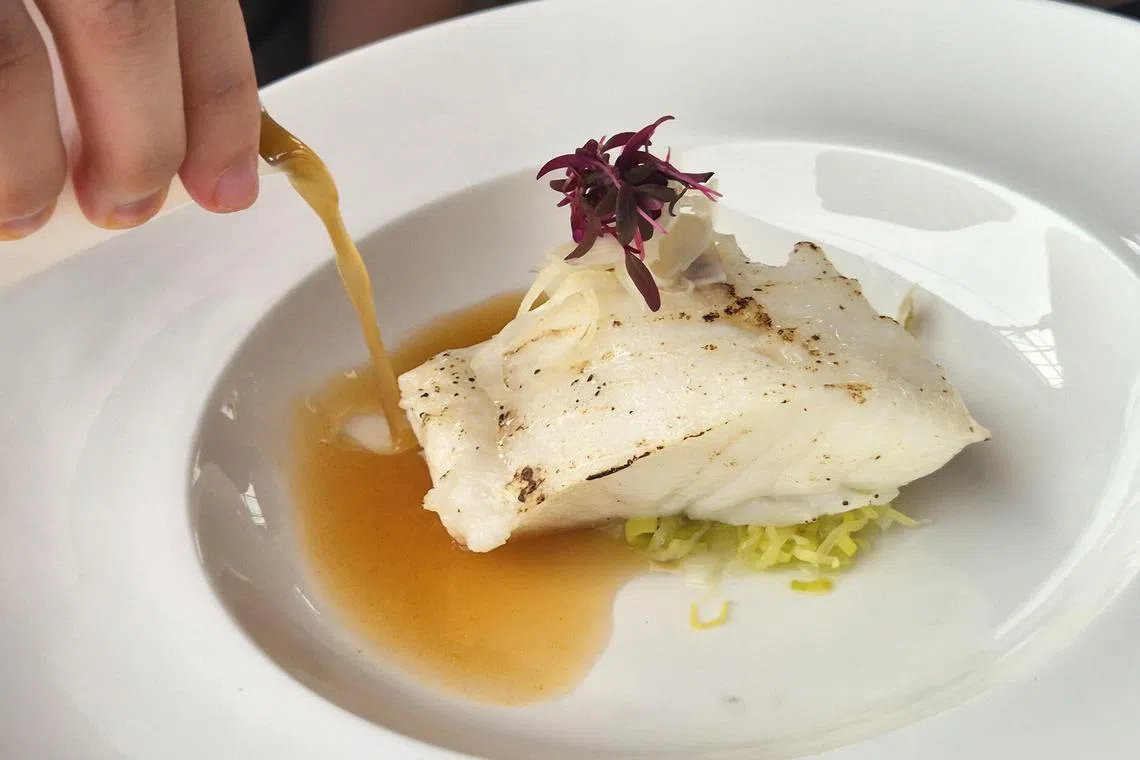 香煎智利鲈鱼淋上清爽茴香高汤。（陈爱薇摄）