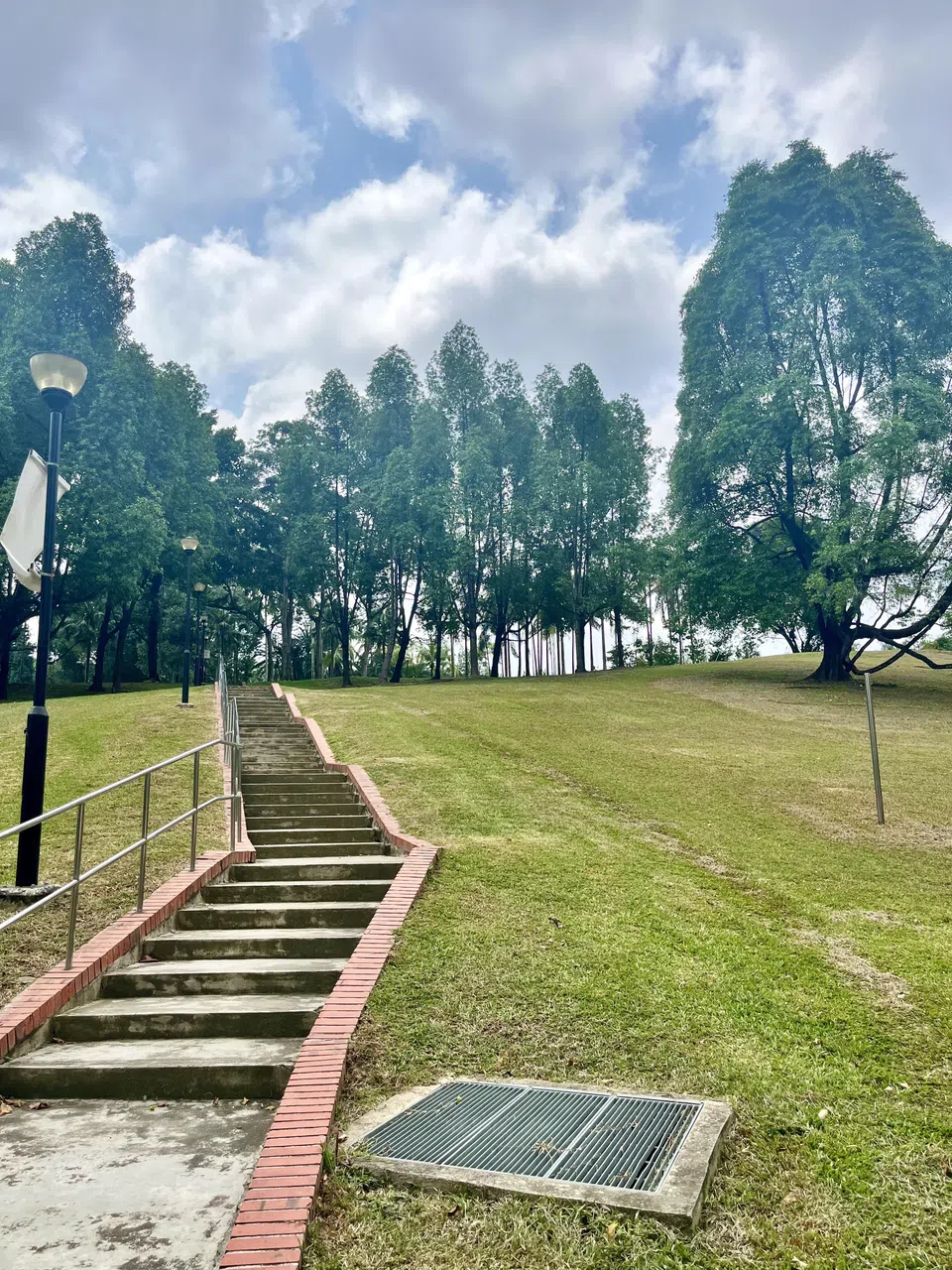 挑战脚力，一口气跑上梯级，直抵宏茂桥镇西公园最高处，心情豁然开朗。（陈映蓁摄）