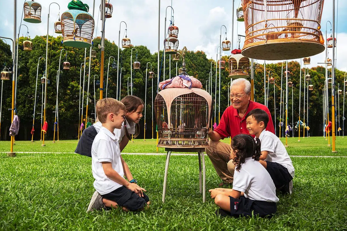 新加坡美国人学校的小学部华文浸濡课程，其鸟类歌唱俱乐部让学生透过趣味的方式体验不同的华族文化。（图/新加坡美国人学校-摄于疫情前）