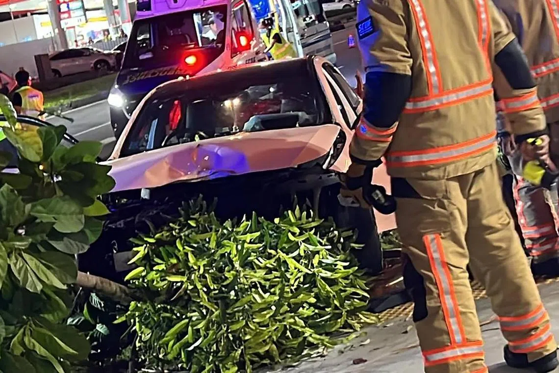 一辆白色汽车驶上蚬壳加油站前的路缘，撞毁小树，引擎盖损毁严重。（取自网络）