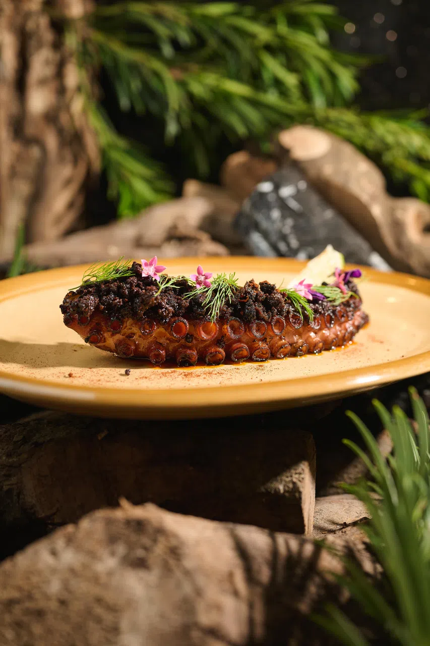 OUD Restaurant以特制柑橘木熏制的烤章鱼。（餐馆提供）