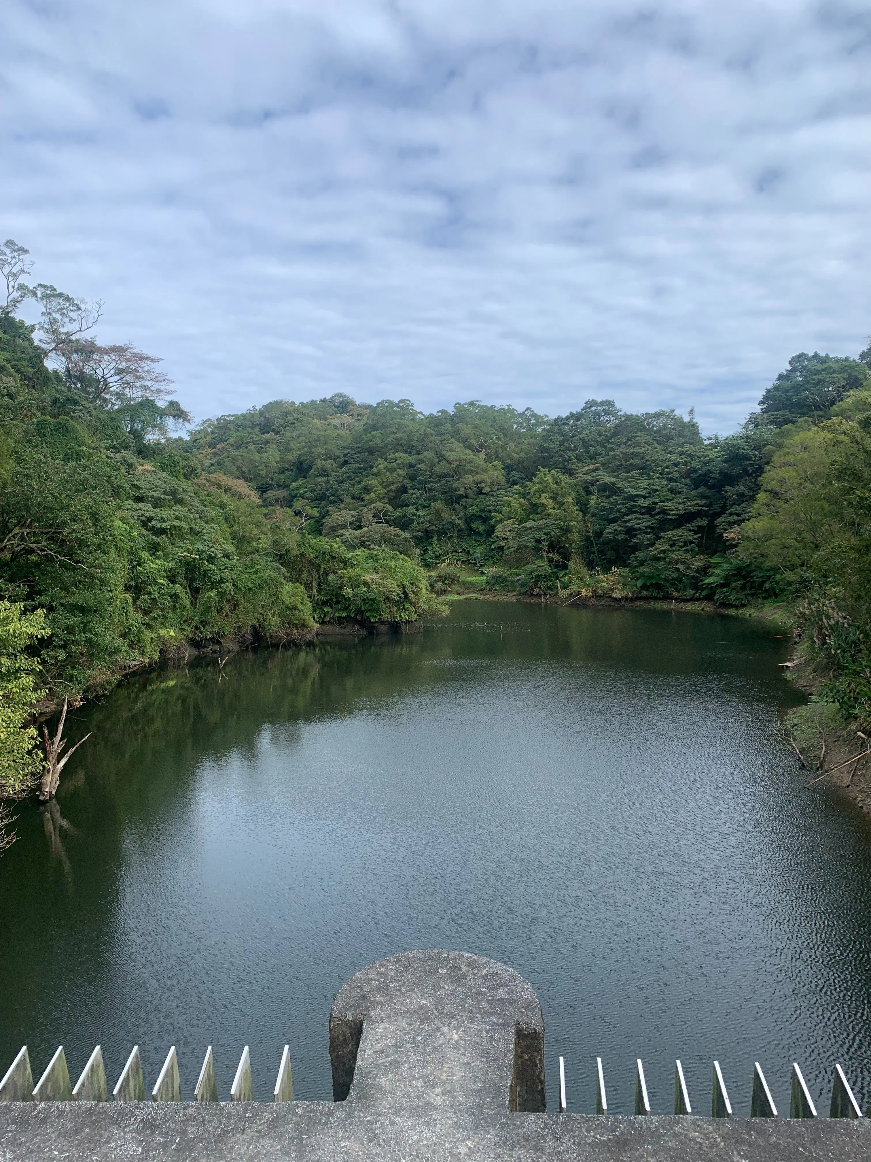 叶欢在电访前分享住所后山美景，环境宁静优美。（受访者提供）