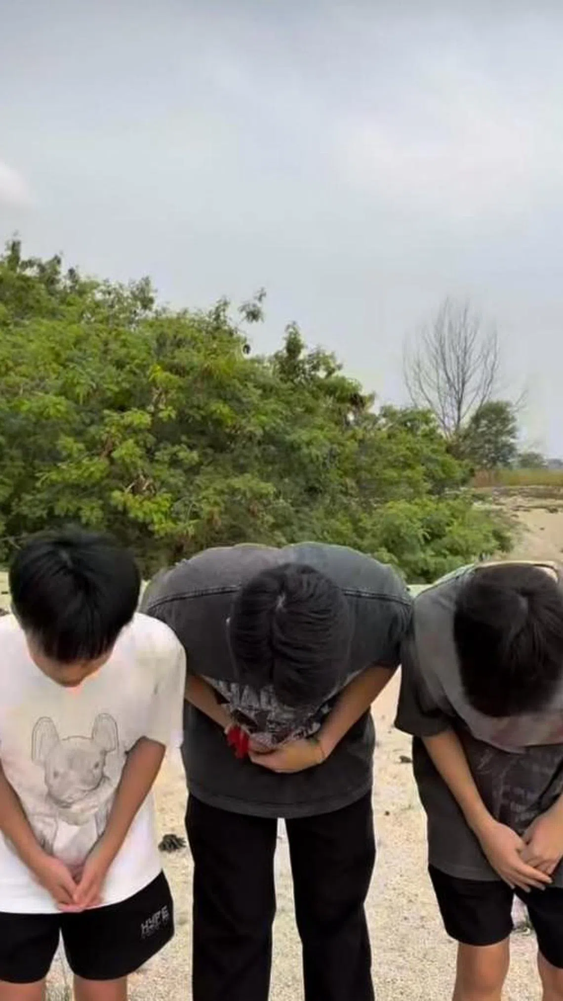 马国三名青少年星期天拍摄以鸡骨头戏弄流浪汉的视频引起轩然大波后，星期一拍视频道歉。（视频截图）