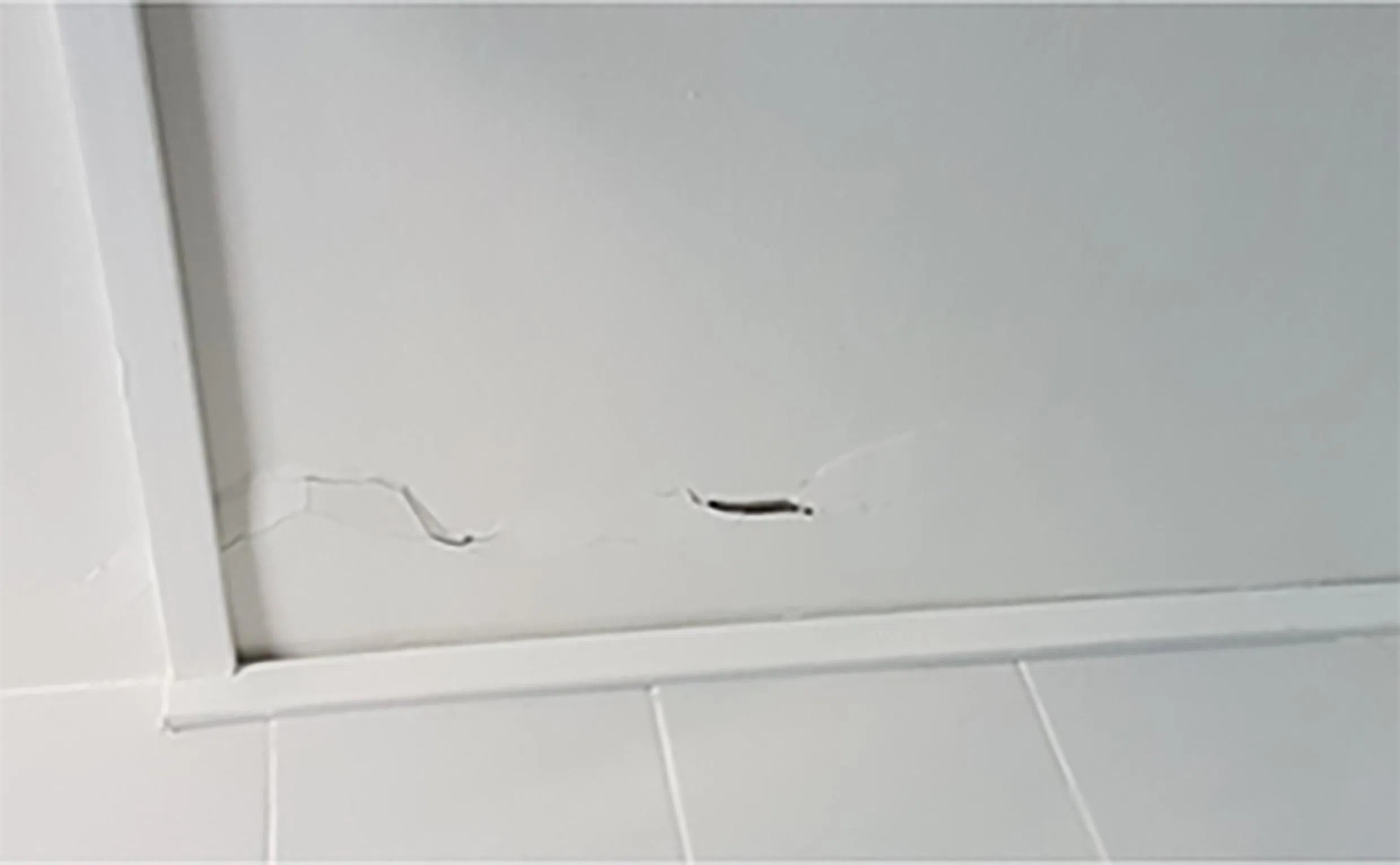 建屋局网站建议屋主在发现这类的裂缝和小范围水泥脱落时，应该尽快采取补救措施。（取自建屋局网站）