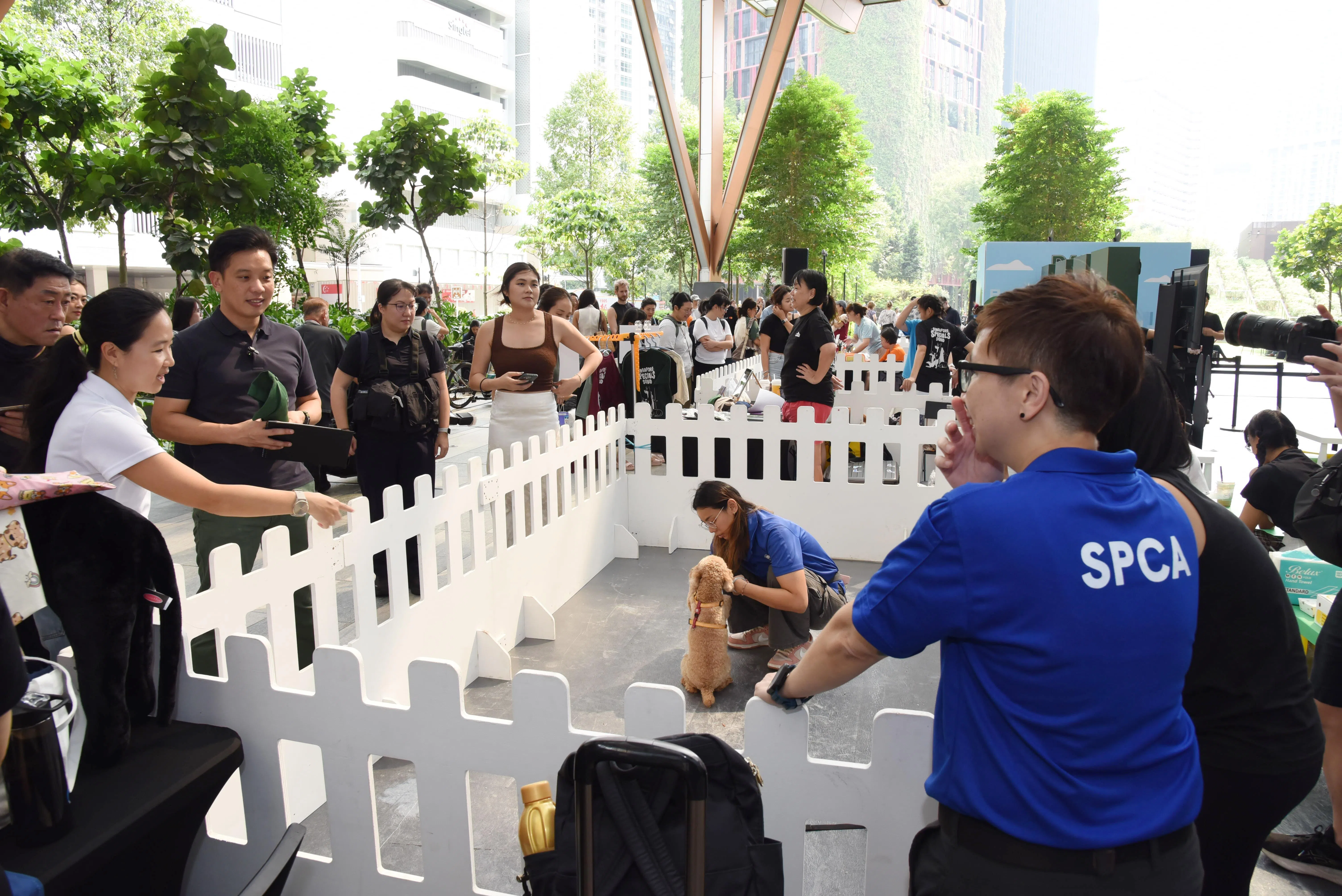 国家发展部兼外交部政务部长陈圣辉（左三）在动物领养活动上参观SPCA的展区。（特约摄影伍书永摄）