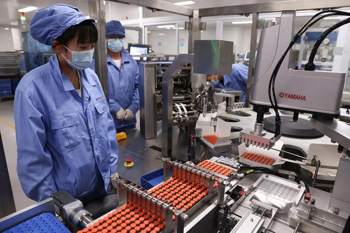 2021年5月11日，位于北京大兴的北京科兴中维生物技术有限公司生产车间内，工作人员对疫苗进行包装。（中新社档案照）