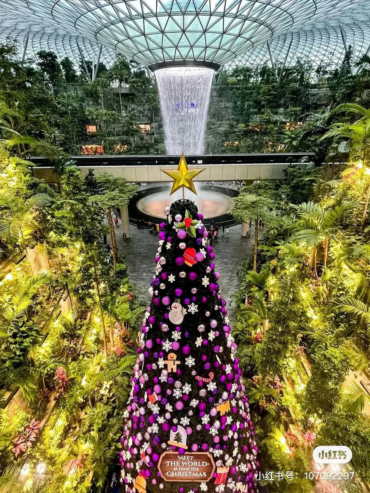 星耀樟宜浓浓的圣诞气息（图/西瓜冰沙佳小卷 小红书）。