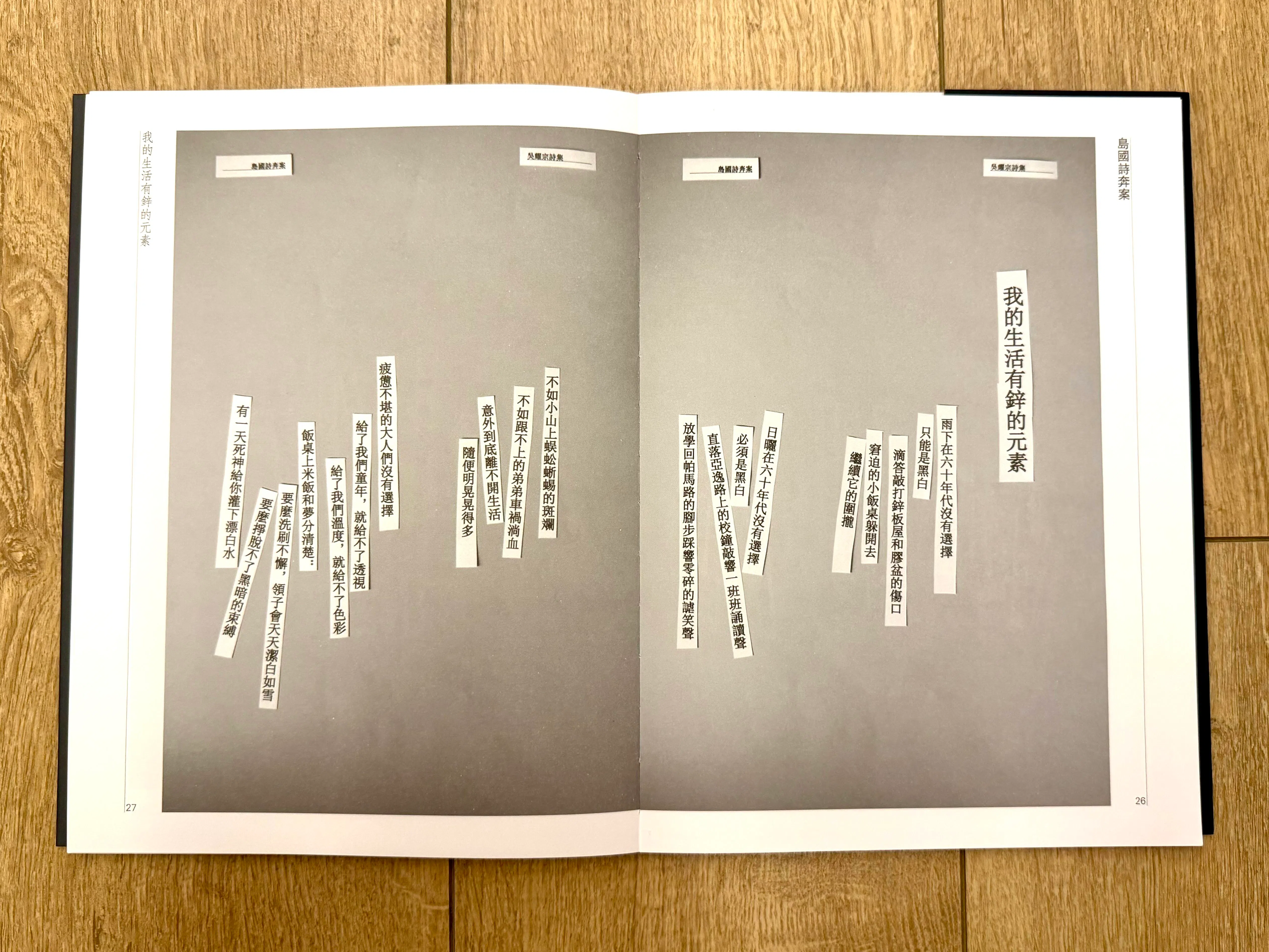 吴耀宗《我的生活有锌的元素》收录于新诗集，探索生活形态。（张子奕摄）