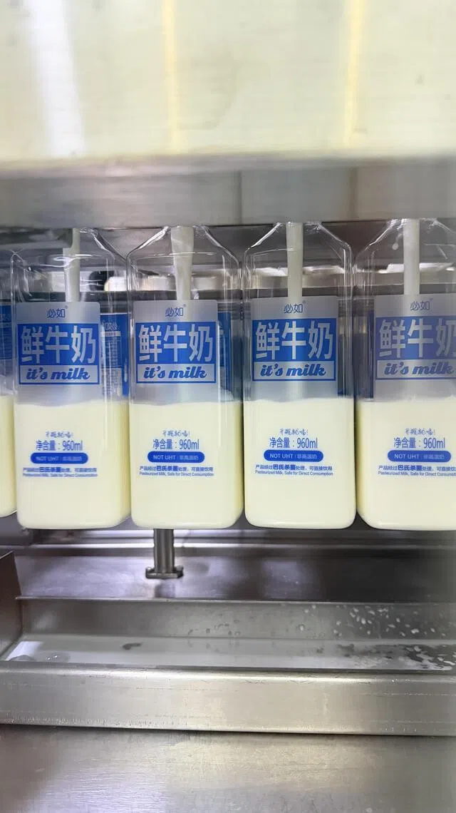 在必如的内蒙古工厂内，牛奶经杀菌处理后灌装。（顾功垒摄）