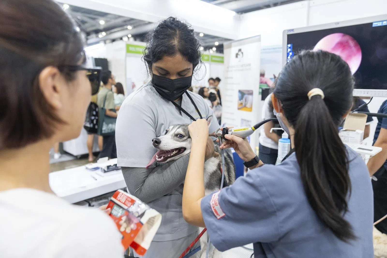 关心宠物健康与营养，学习意外事故发生时的应对措施。（主办者提供）