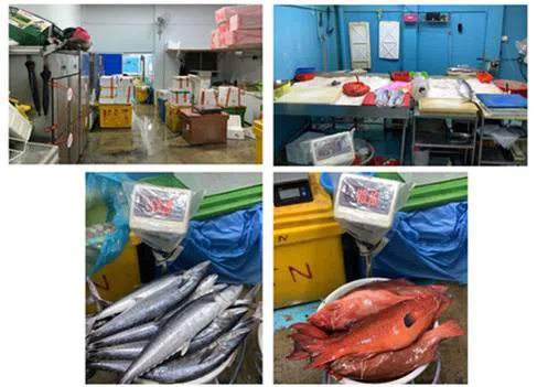 第11街私人有限公司把原本在卓道的办公室，改为处理鱼的工厂。（新加坡食品局提供）