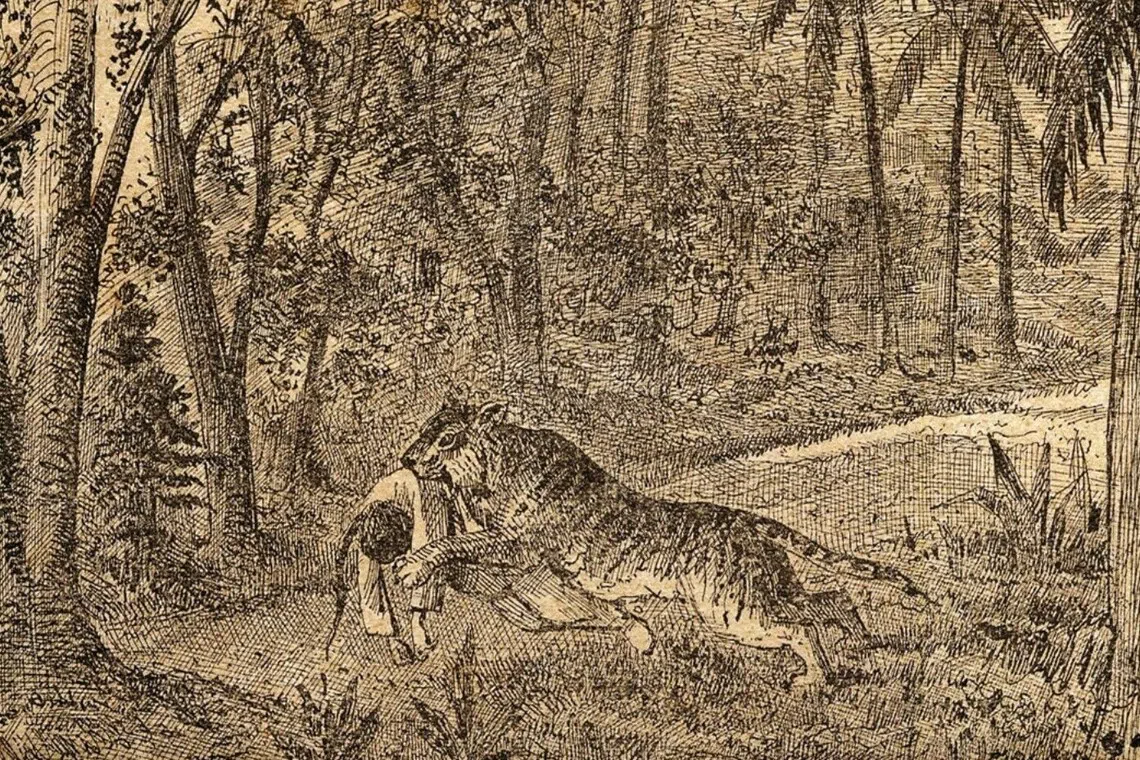 发生在武吉班让甘蜜园的老虎噬人事件。（林恩和提供）