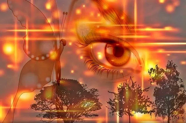 杨瀚森：从“迪拜围城”反思小国生存与发展