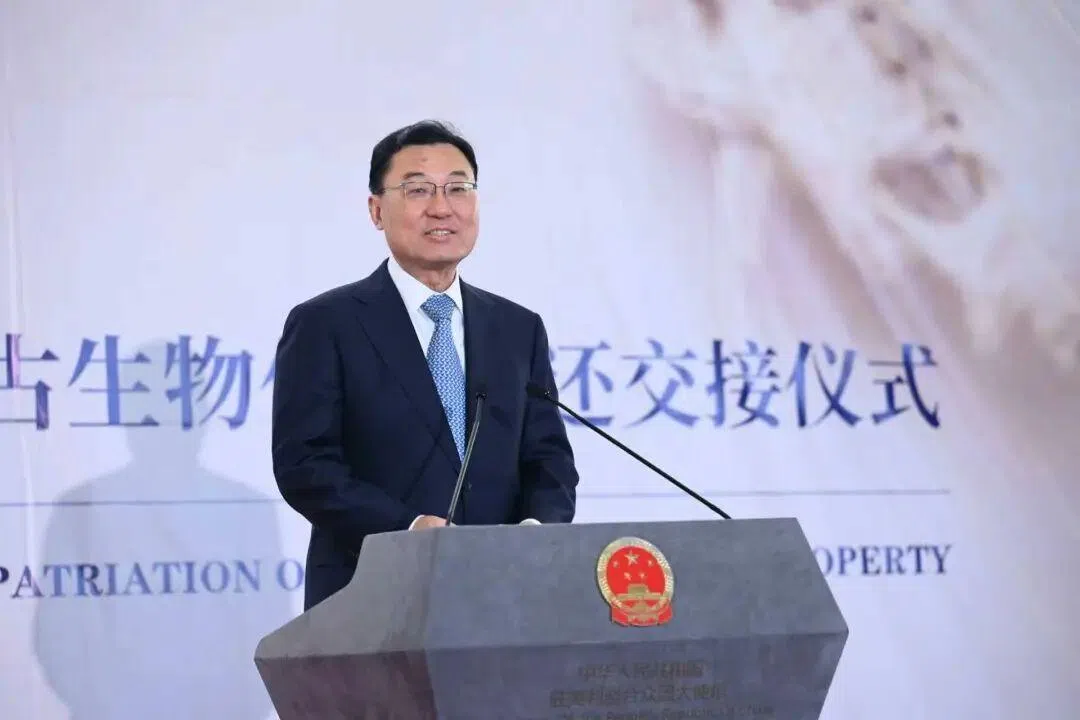 中国驻美国大使谢锋出席文物返还交接仪式，并发表讲话。（中国驻美国大使馆微信公众号）
