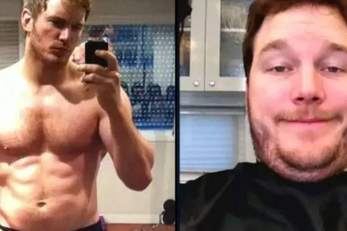 帕拉特身材弹性大，有时健硕有时圆滚滚。（互联网）