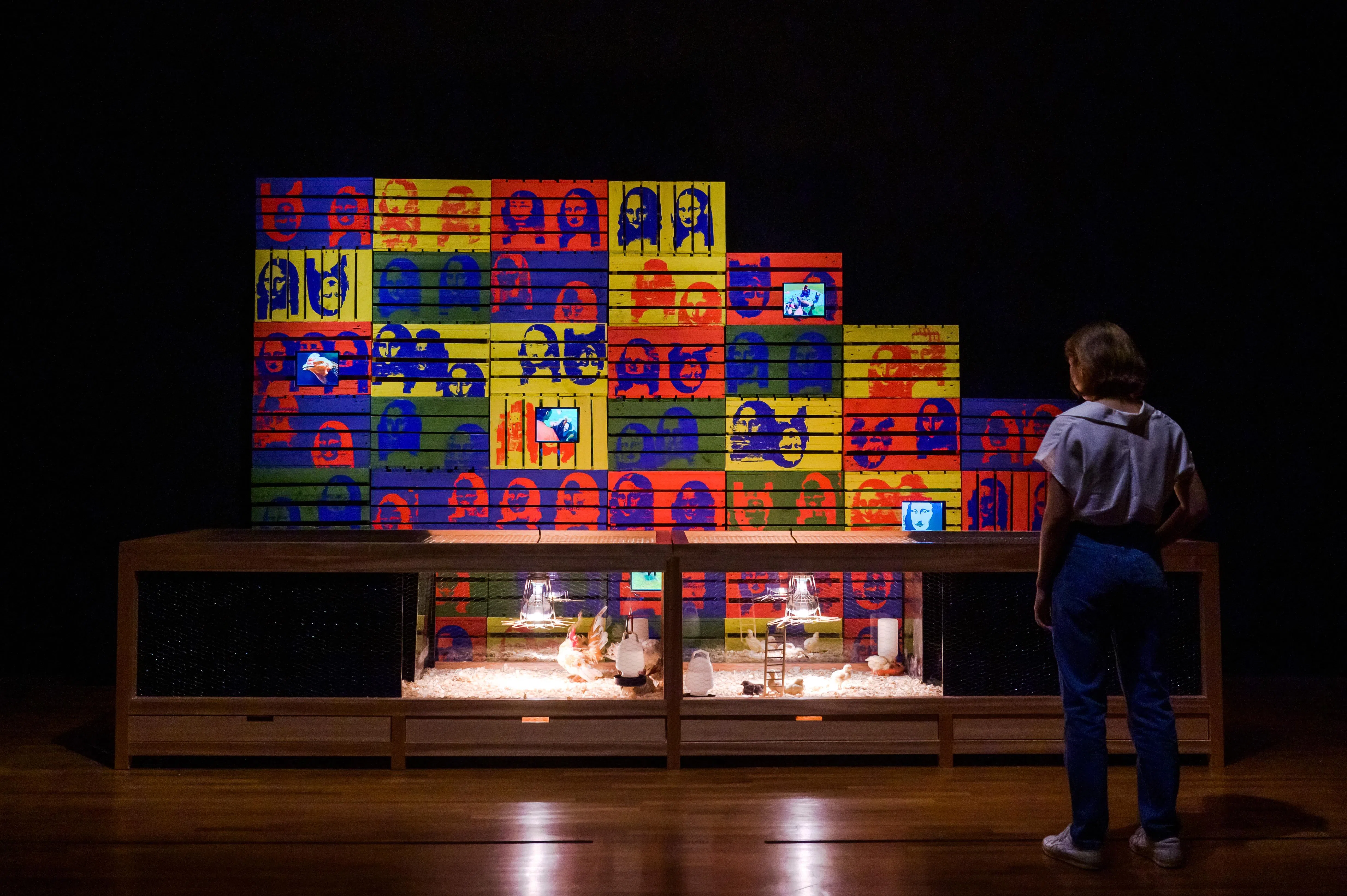 泰国阿比南·珀西亚纳达的录像装置《如何向曼谷公鸡解释艺术》。（国家美术馆提供）