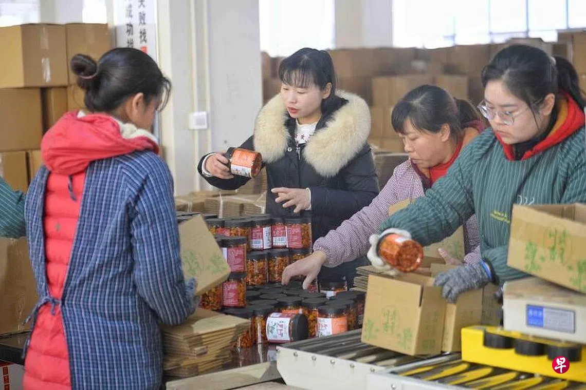 下午察：2亿人口“灵活就业”是喜是忧？ | 联合早报