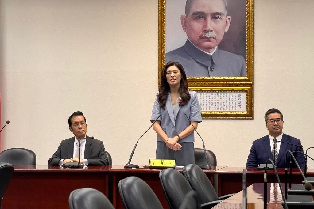 获习近平邀请访问大陆 郑丽文强调反独是共同政治基础