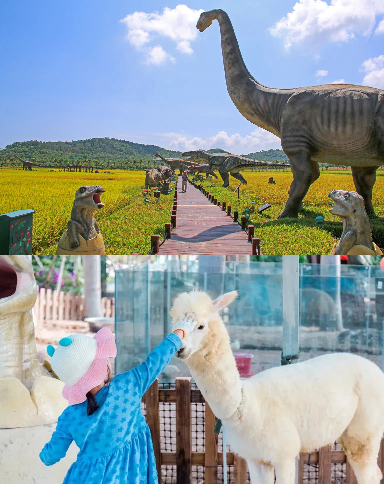 家中小朋友酷爱恐龙或是想和可爱的小动物互动？到三亚水稻国家公园游玩，让他们有个难忘的体验！（图/三亚市旅游发展局提供）
