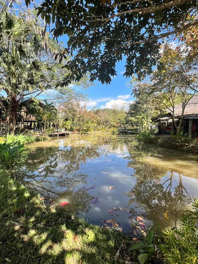 Makhampom艺术空间内有两片湖泊，四周由稻田和高山环绕，成为天然的创作养分。（主办单位提供）