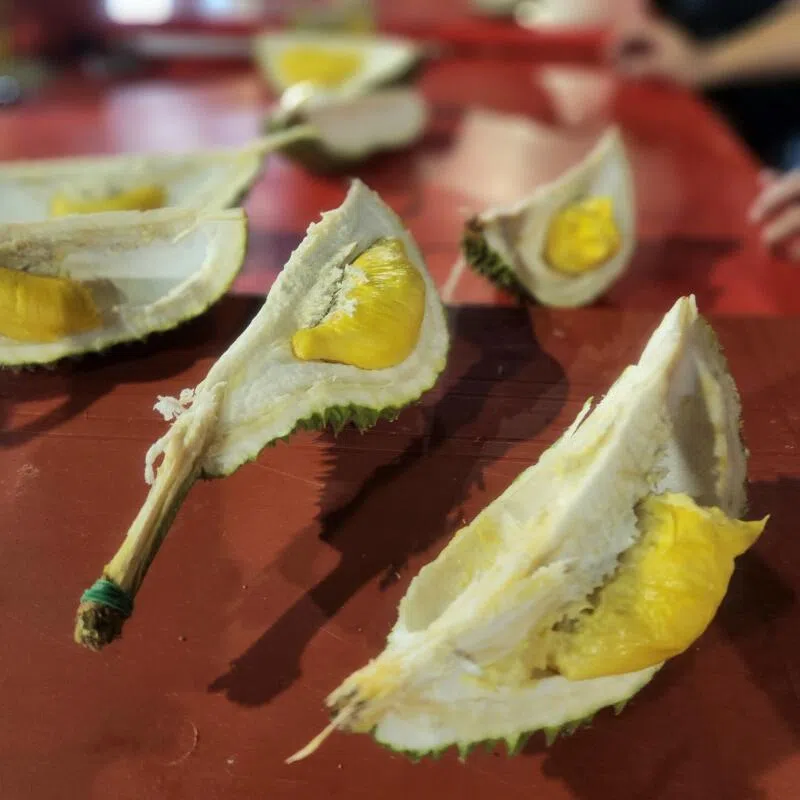 一颗小小的榴梿果肉，糖分等同于一份水果。（陈爱薇摄）