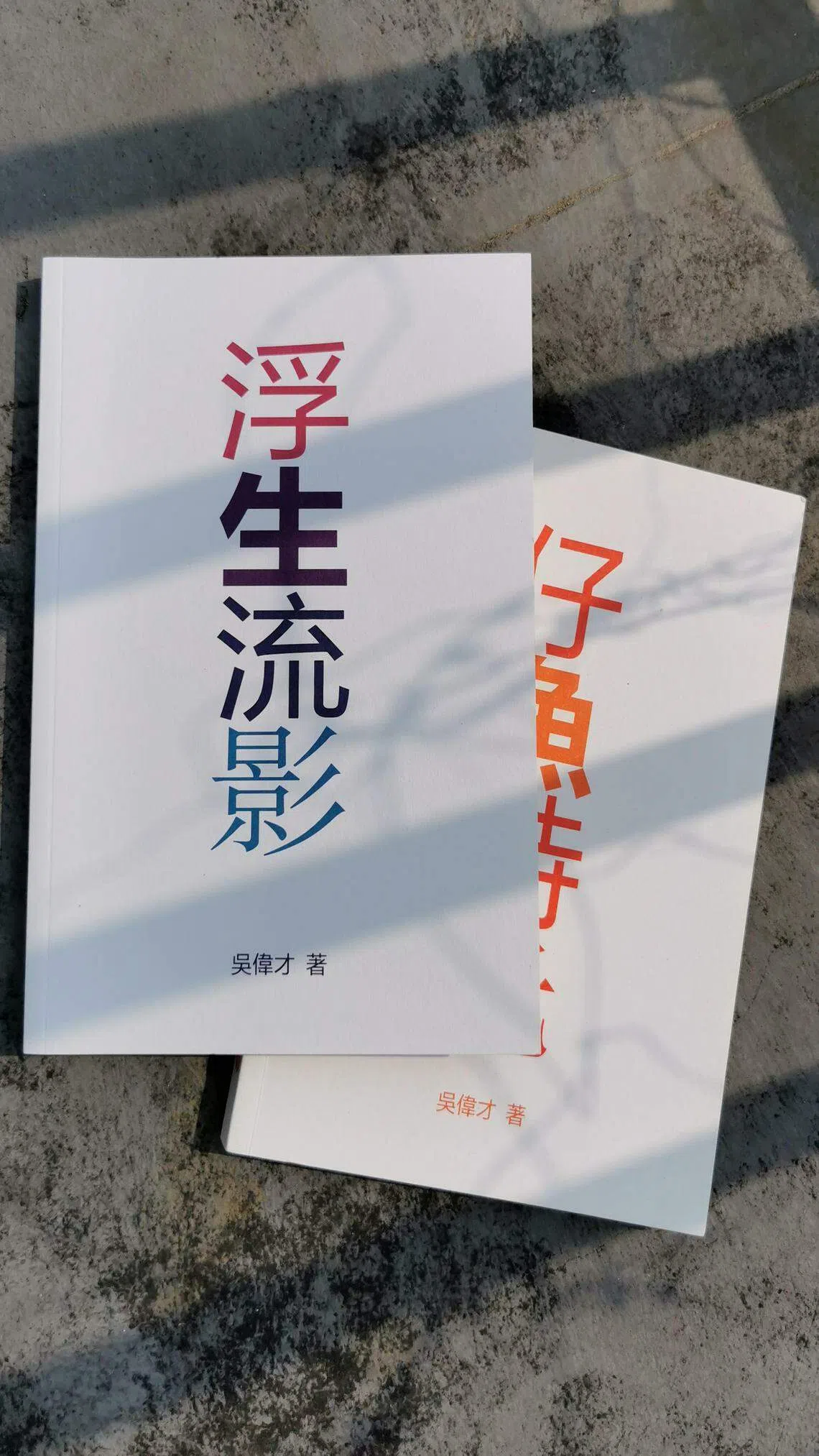 吴伟才散文集《浮生流影》与《仔鱼时光》。（陈宇昕摄）