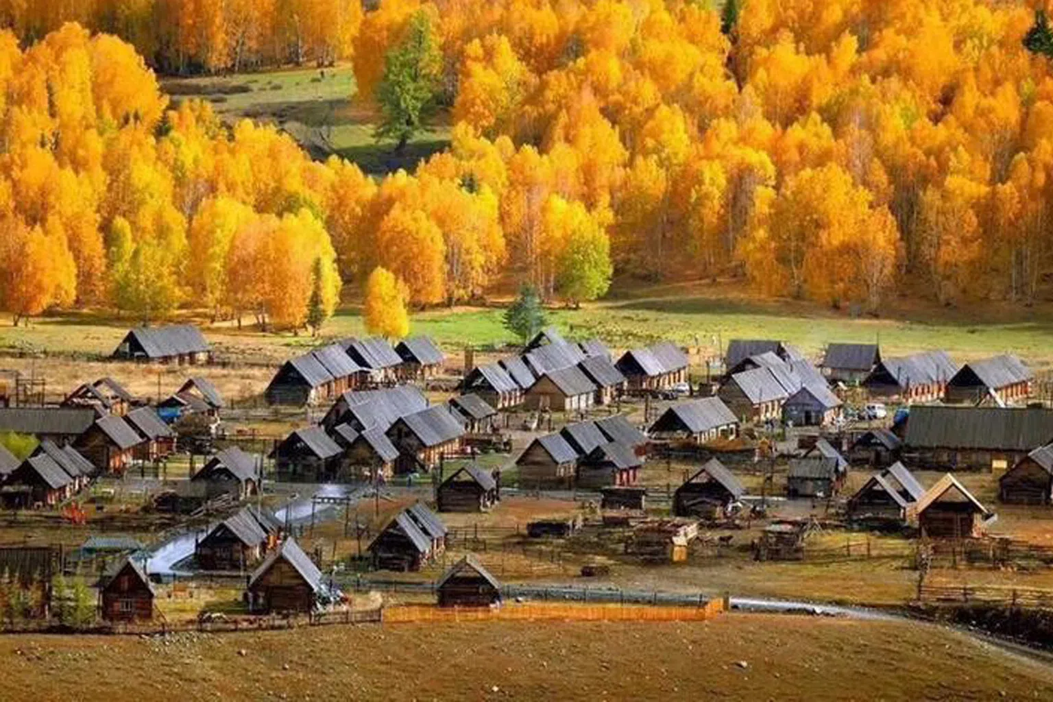 禾木村坐落在美丽的山脉中，具特色的小木屋错落有致地散布在山谷之中，秋季时层林尽染，一片金黄。（图/商家提供）