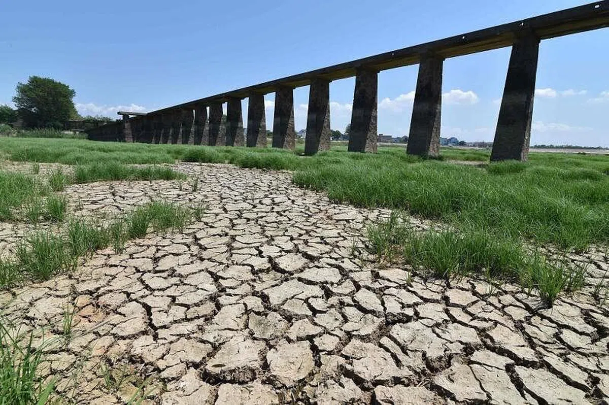 天气持续高温干旱，江苏省南京市-个湖已部分干涸。（法新社）