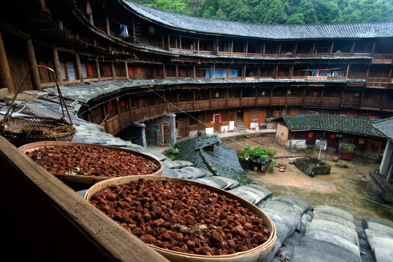 土楼一角晒着柿子。