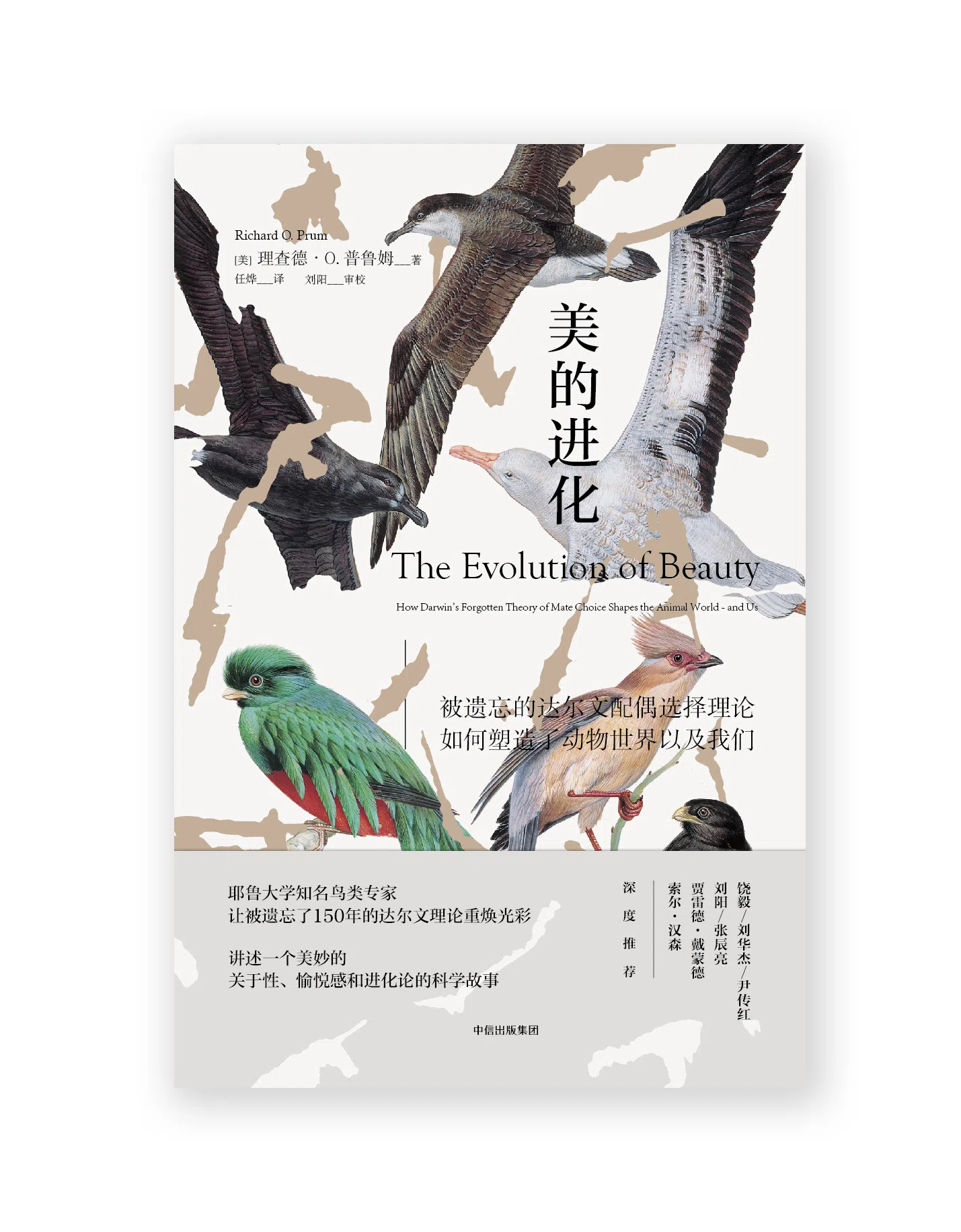 鸟类对美的追求，也改变了物种进化的轨迹。（互联网）