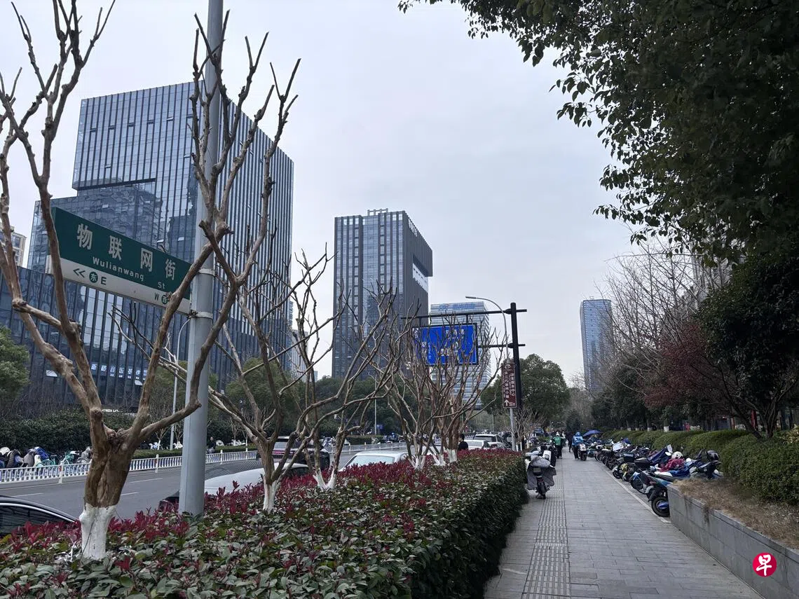 杨丹旭：一场酒局打碎杭州滤镜？