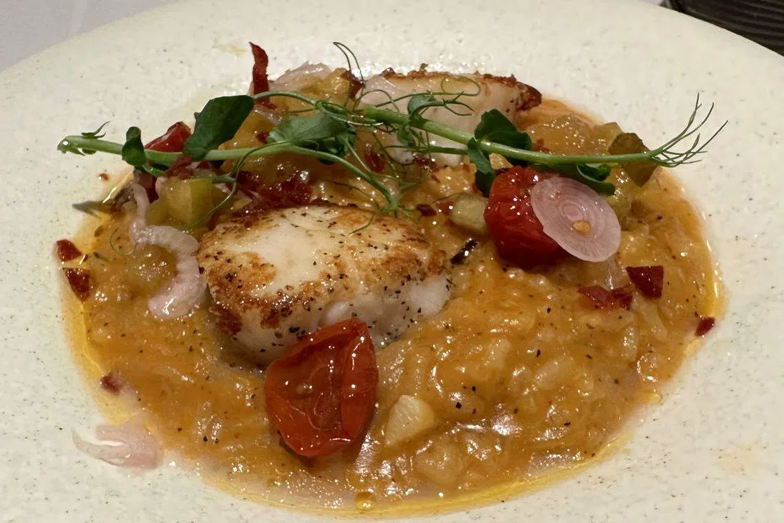 扇贝意式烩饭（Scallop Risotto）吸饱汤汁，弹韧浓滑。（叶晓虹摄）