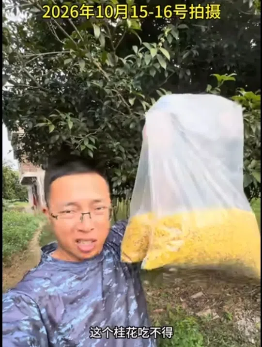 新闻配图