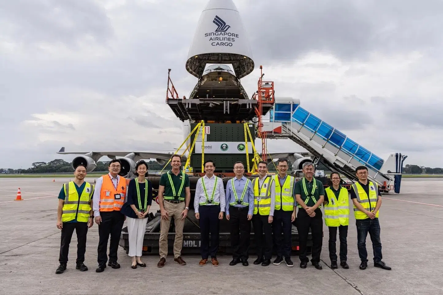 新加坡出生的第一只大熊猫叻叻星期二傍晚乘搭新加坡航空公司波音747-400F货机，启程回中国。贸工部兼文化、社区及青年部政务部长陈圣辉（左五）、中国驻新加坡大使馆临时代办朱憬（左六）、中国驻新加坡大使馆文化科技处参赞秦文（左三）以及万态保育集团、新航、新加坡樟宜机场集团和新翔集团的代表，特地到樟宜机场为叻叻送行。（取自万态保育集团脸书）