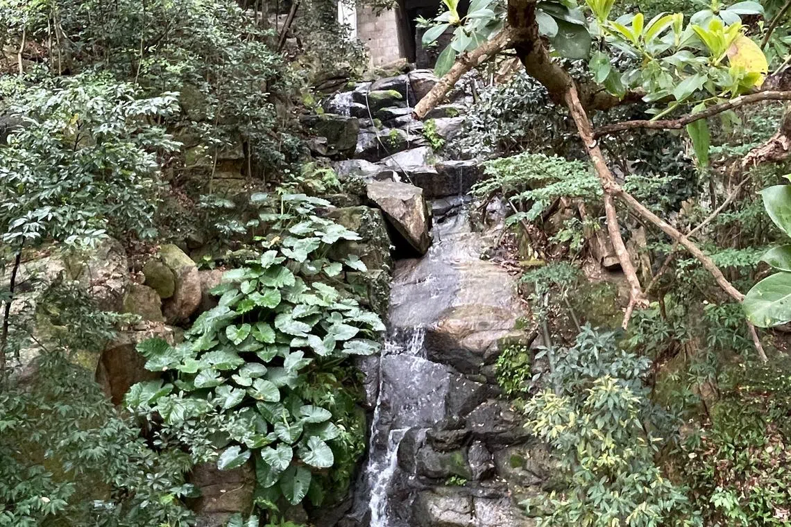 山涧小溪流水潺潺。（章瑗摄）