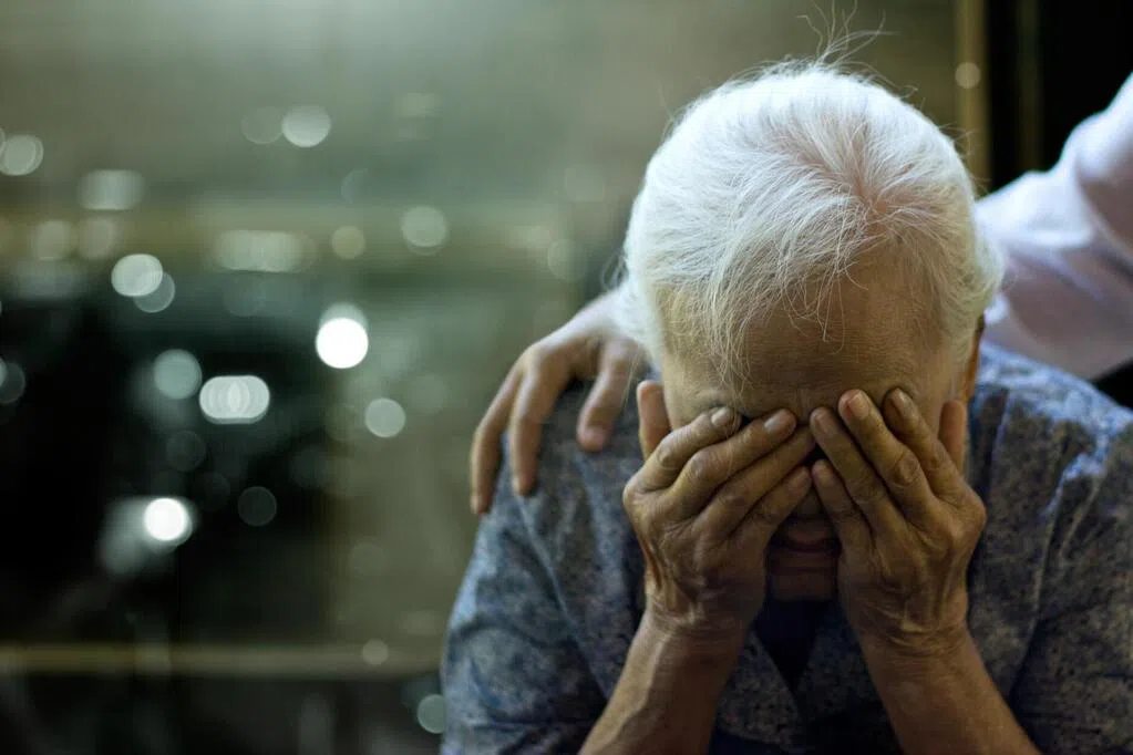 别只吞益生菌  养菌比补菌更重要