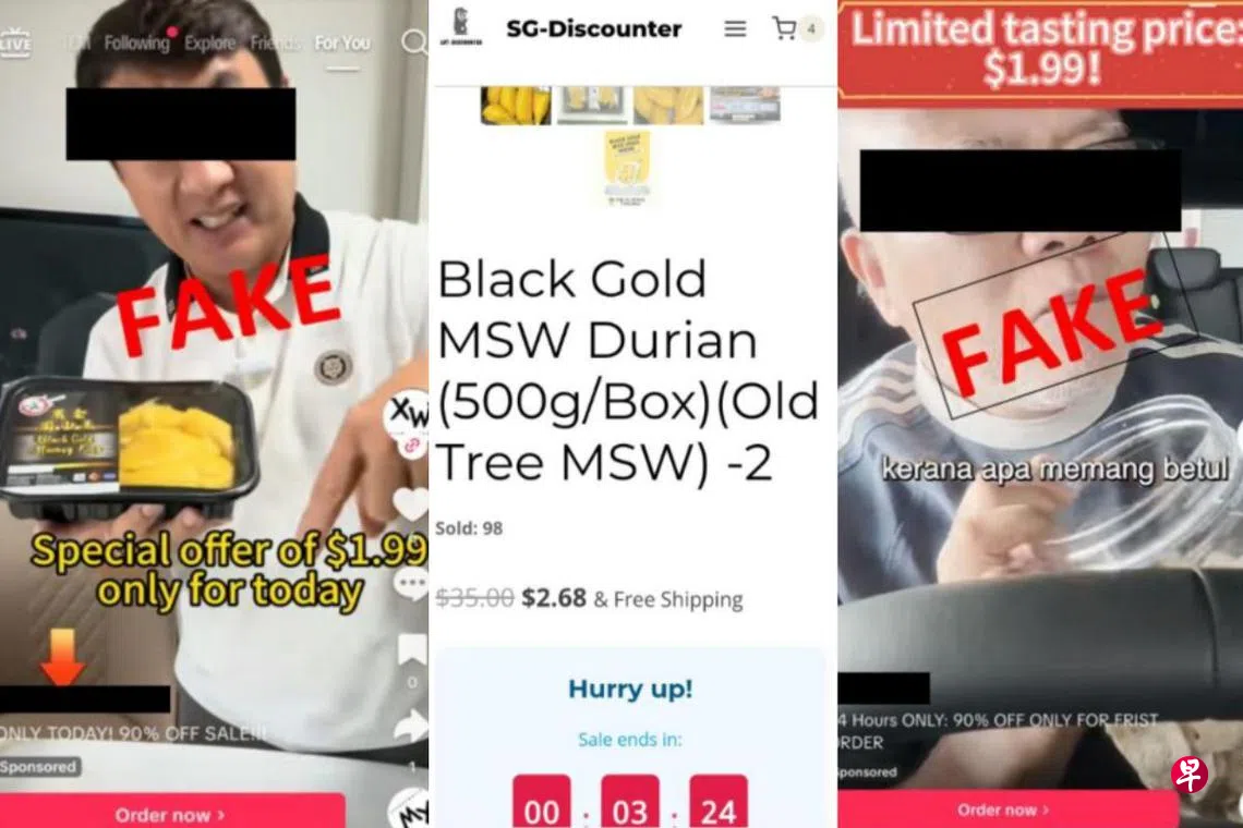 猫山王只卖$1.99 77人陷骗局损失逾4万元| 联合早报